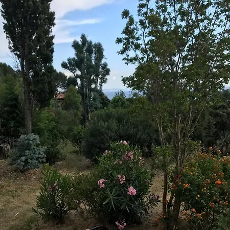 Appart hôtel La Terrasse De La Le Rayol-Canadel-sur-Mer