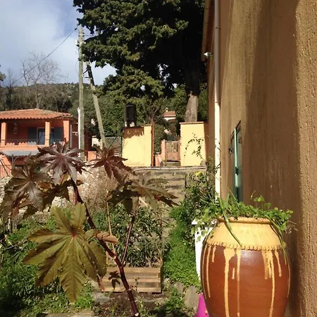 La Terrasse De La